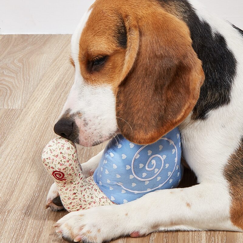 

Snail Shaped Pet Chew Toy, Multicolor
