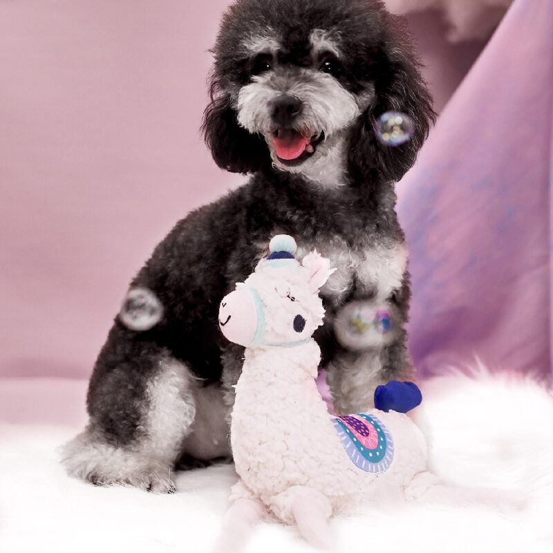 

Alpaca Shaped Pet Sound Toy, Multicolor
