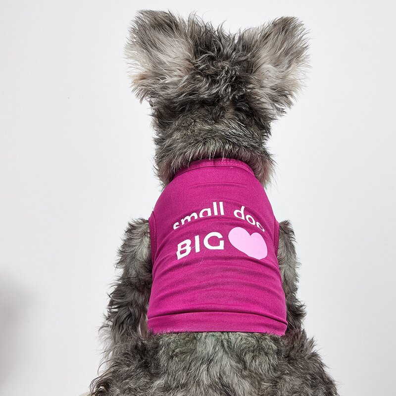 

Slogan Graphic Pet Tank, Hot pink