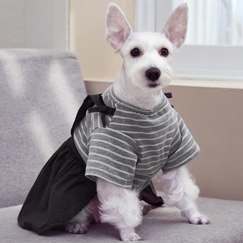 Striped Pattern Pet Dress, Grey