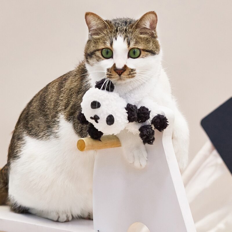 

Panda Design Pet Scarf, Black and white