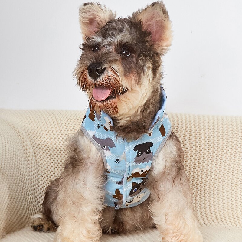 

Cartoon Graphic Pet Coat, Blue