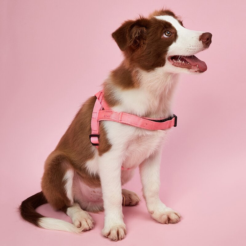 

1pc Minimalist Pet Harness, Pink