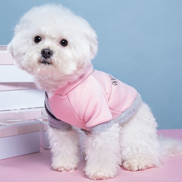 

Cartoon Graphic Pet Sweatshirt, Multicolor