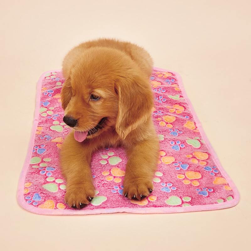 

Paw Print Pet Blanket, Pink