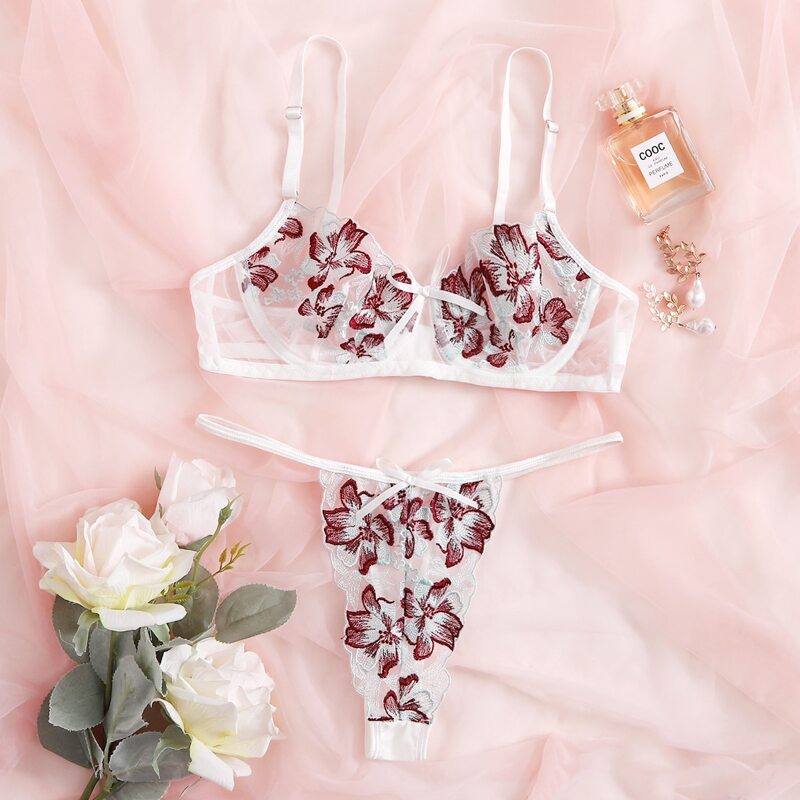 

Embroidered Mesh Underwire Lingerie Set, Multicolor