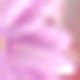 彩色