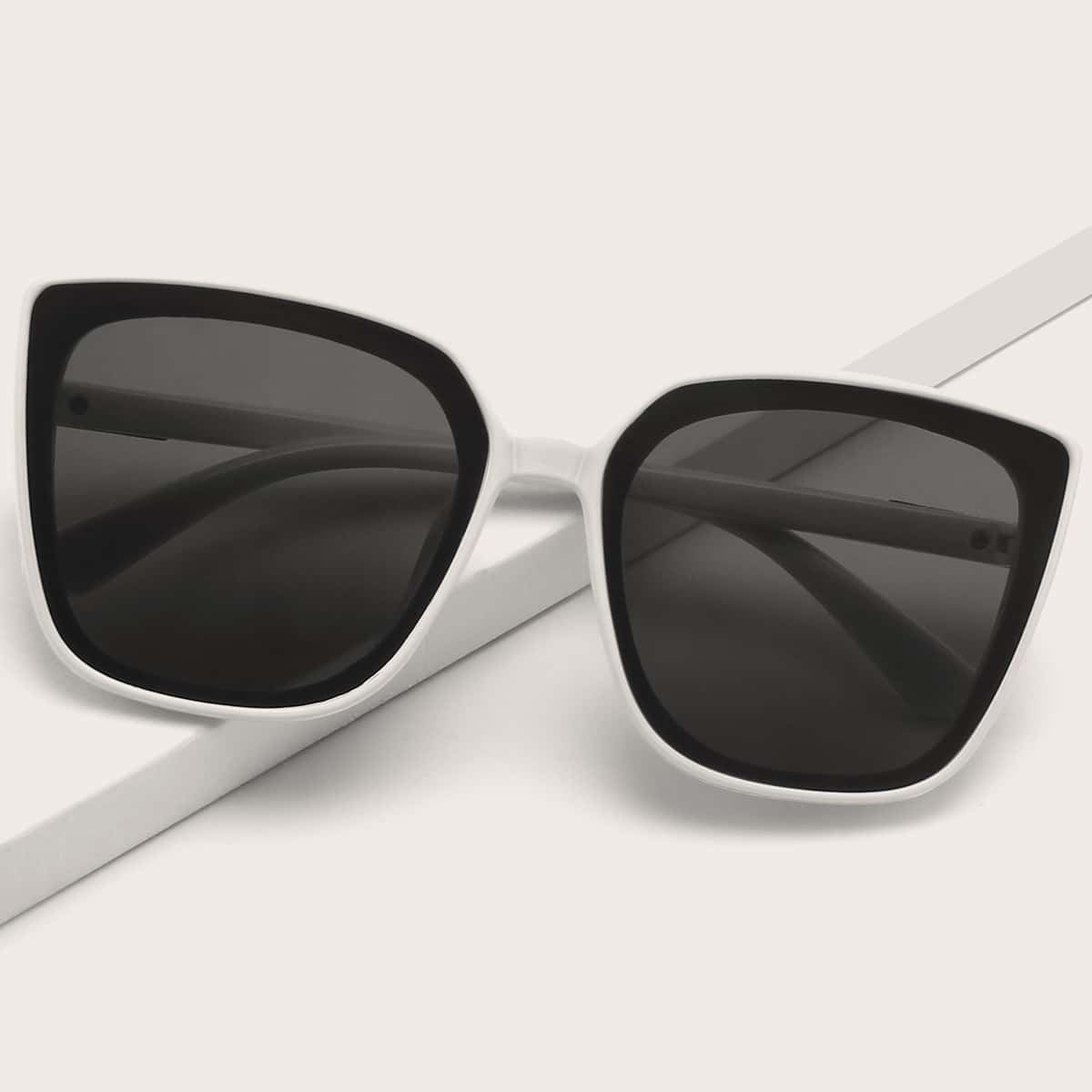 

Acrylic Frame Tinted Lens Sunglasses