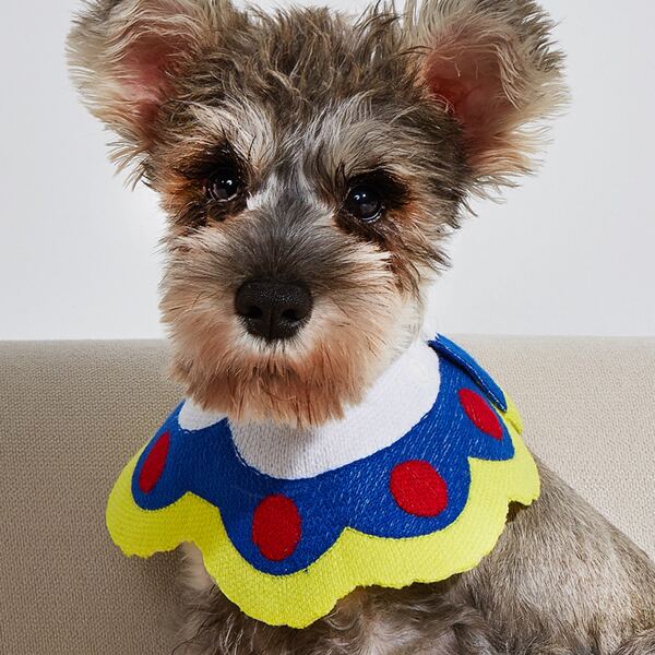 

Polka Dot Pattern Pet Bandana, Multicolor