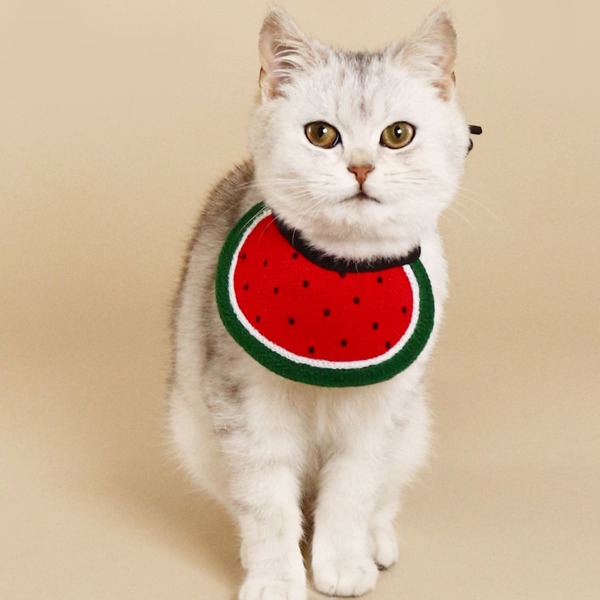 

Watermelon Design Pet Bandana, Multicolor