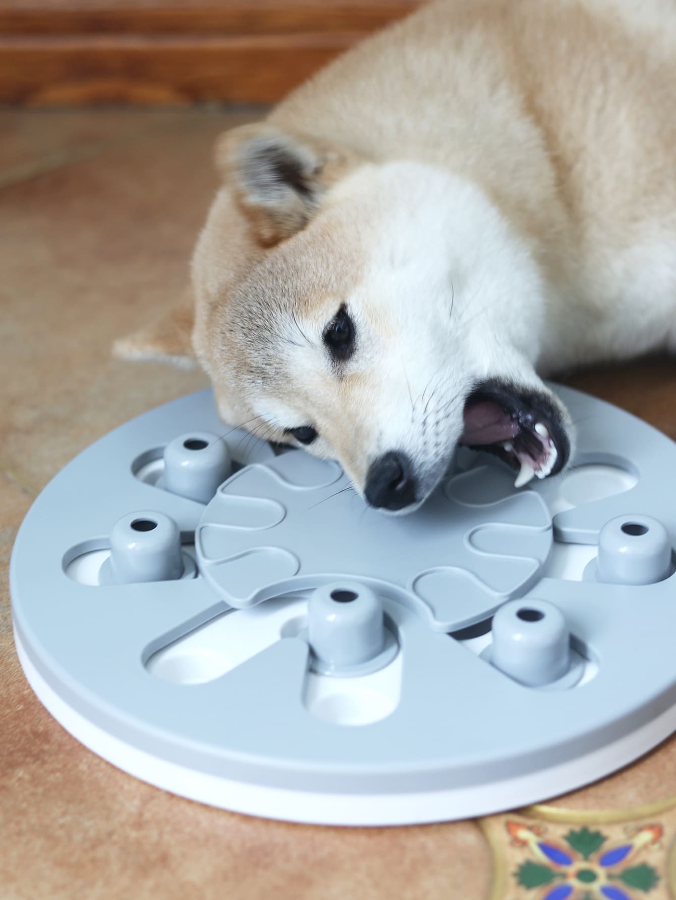 1入組漏食品寵物訓練玩具 - 淺灰色 - 查看 1