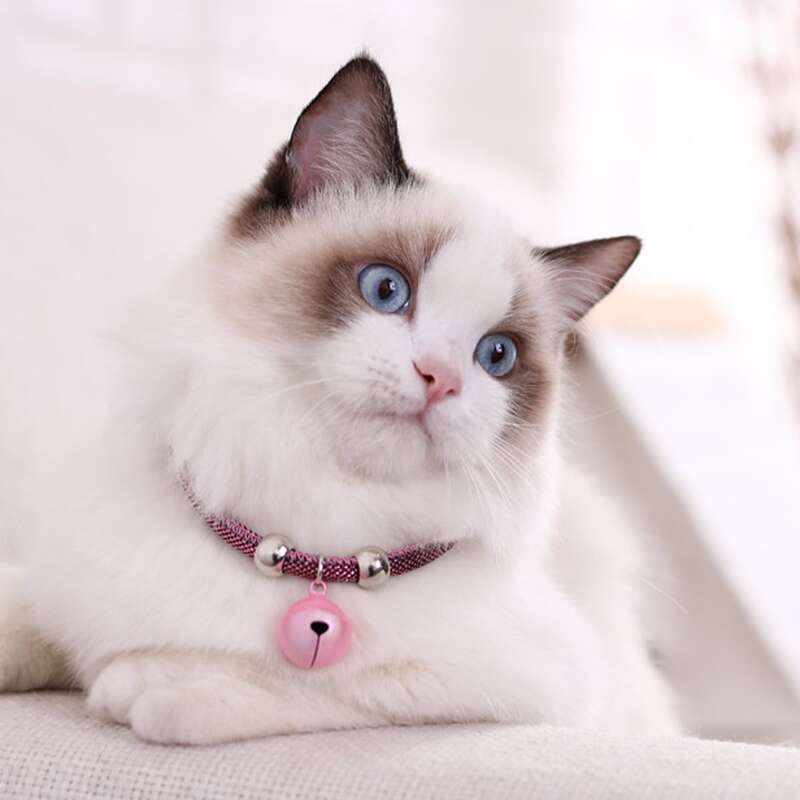 

Heart Pendant Bell Pet Necklace, Pink