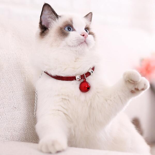 

Heart Pendant Bell Pet Necklace, Red