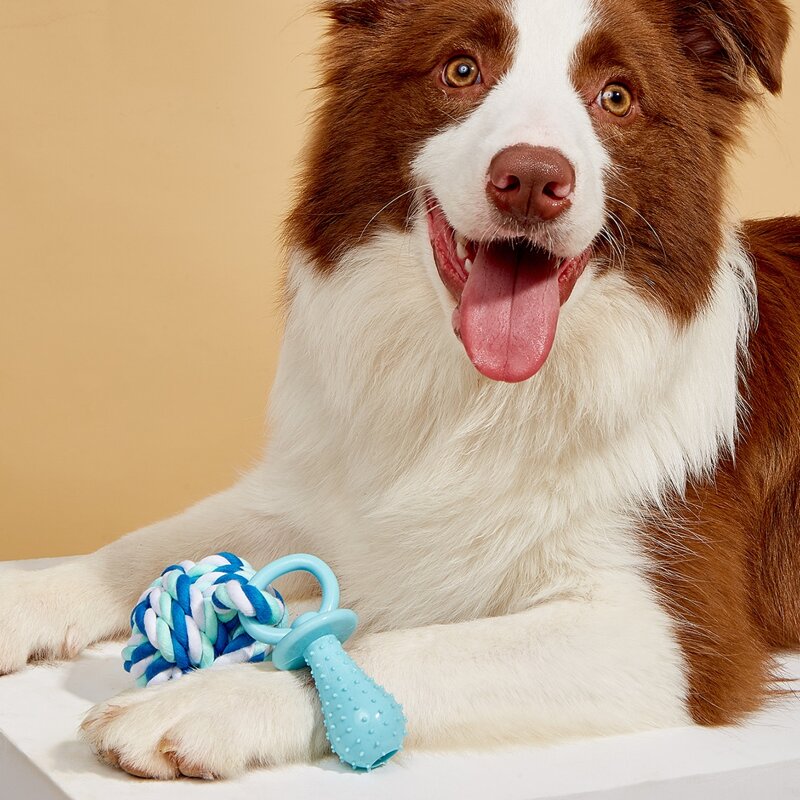 

1pc Rope Knot Pet Chew Toy, Blue