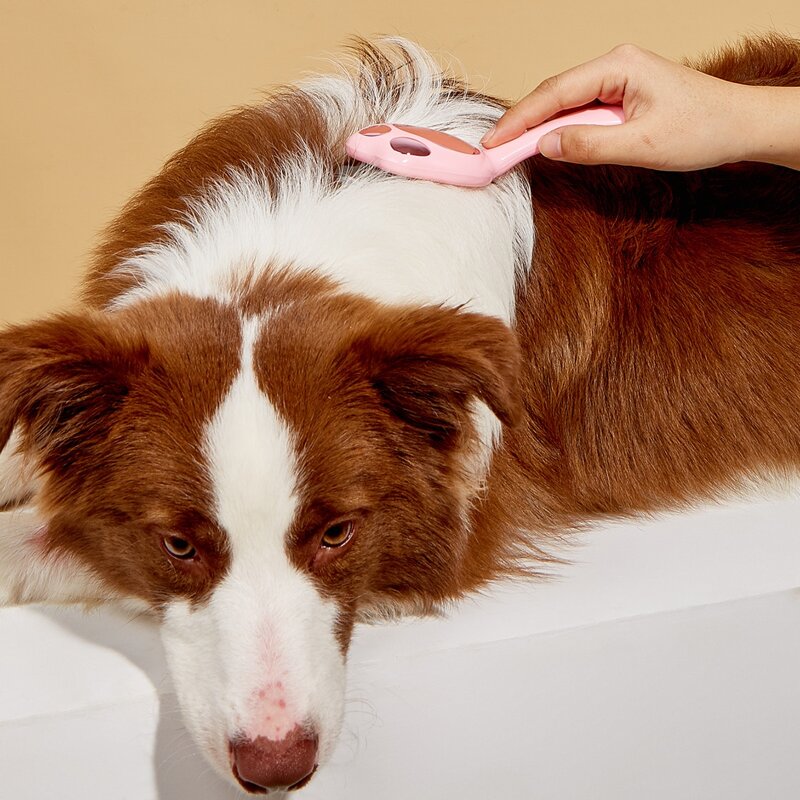 

1pc Claw Design Pet Hair Comb, Pink