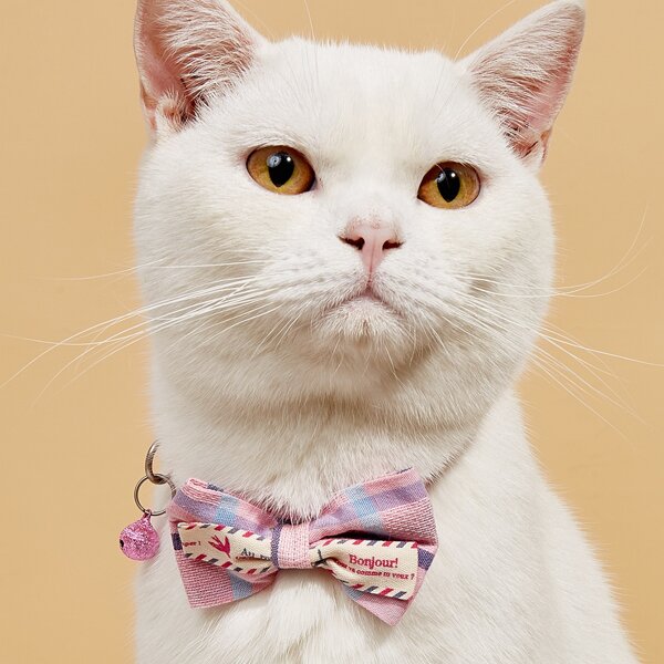 

Bow Detail Pet Collar, Pink