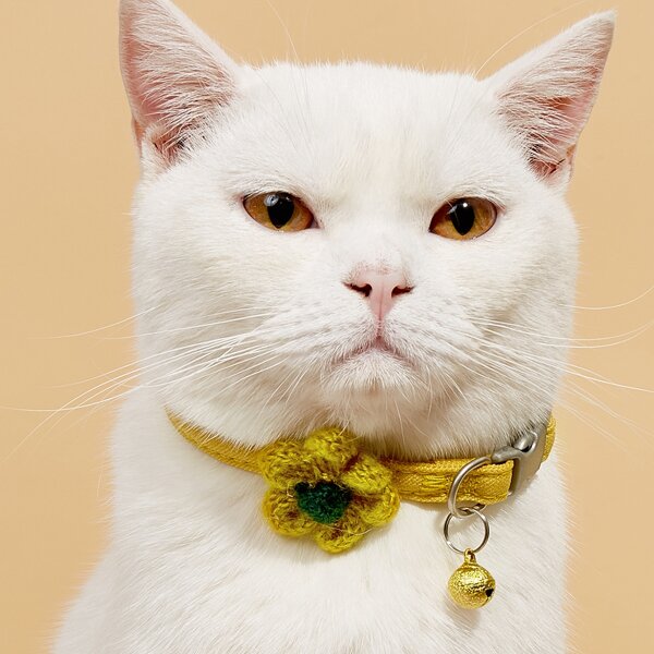 

Flower Detail Pet Collar, Yellow