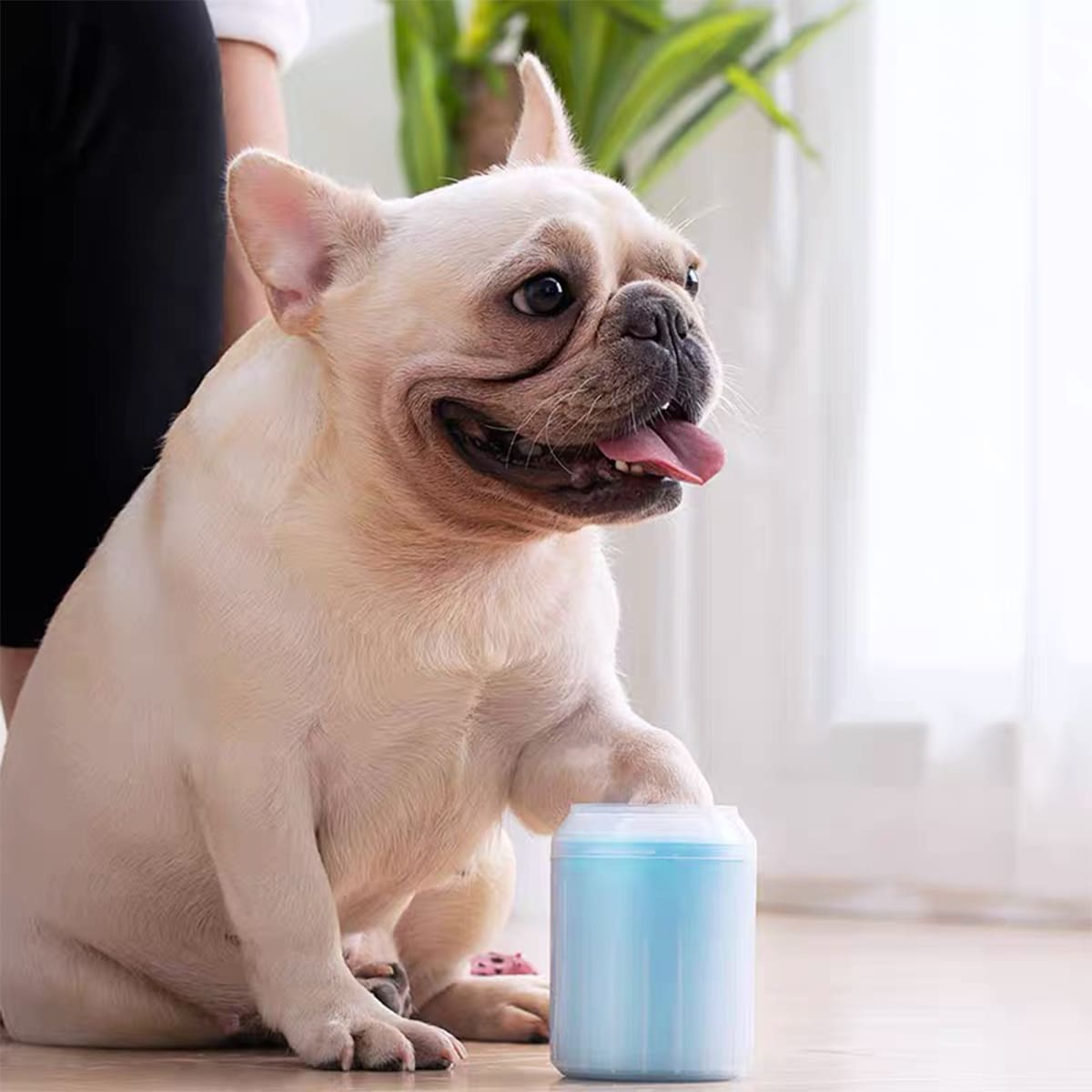 

1pc Pet Foot Washing Cup, Baby blue