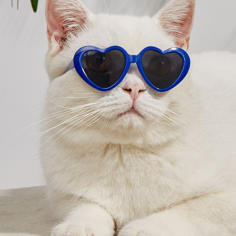 

1pair Heart Shaped Pet Glasses, Blue