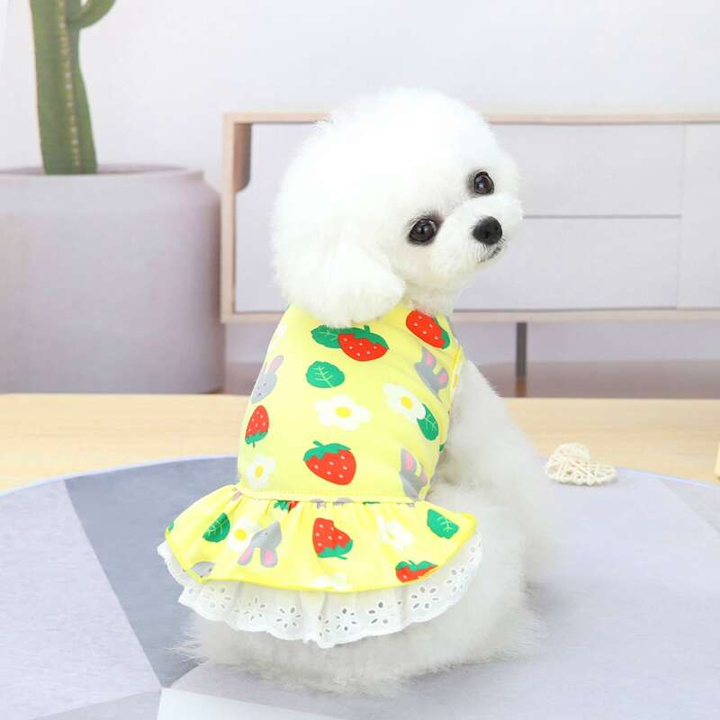 

Cartoon Graphic Pet Dress, Multicolor