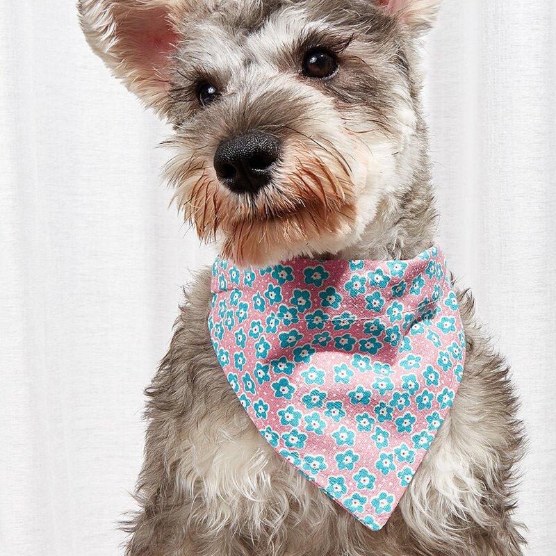

Flower Print Pet Bandana, Multicolor
