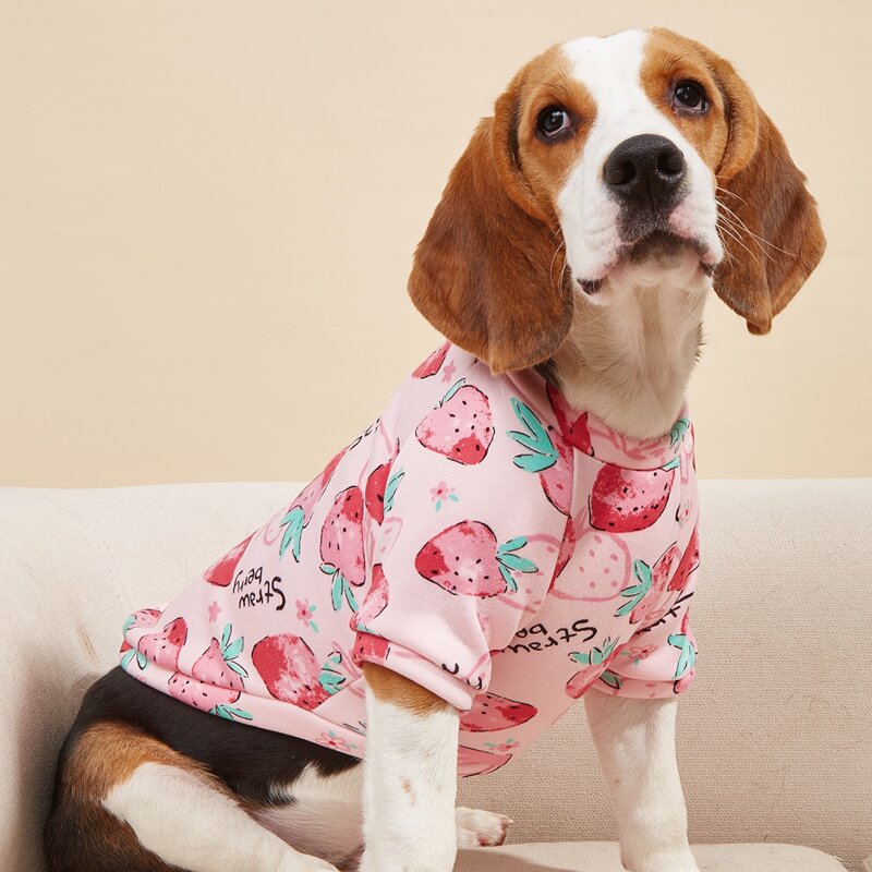 

Strawberry Print Pet Sweatshirt, Multicolor