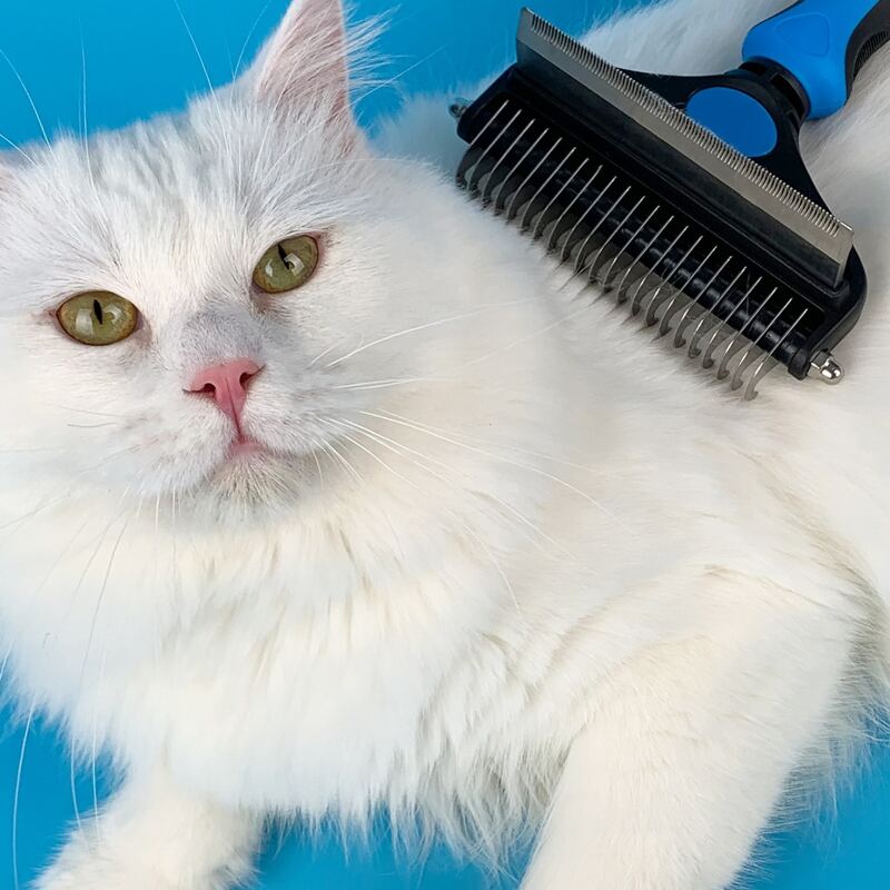 

1pc Multifunction Pet Hair Removal Comb, Blue