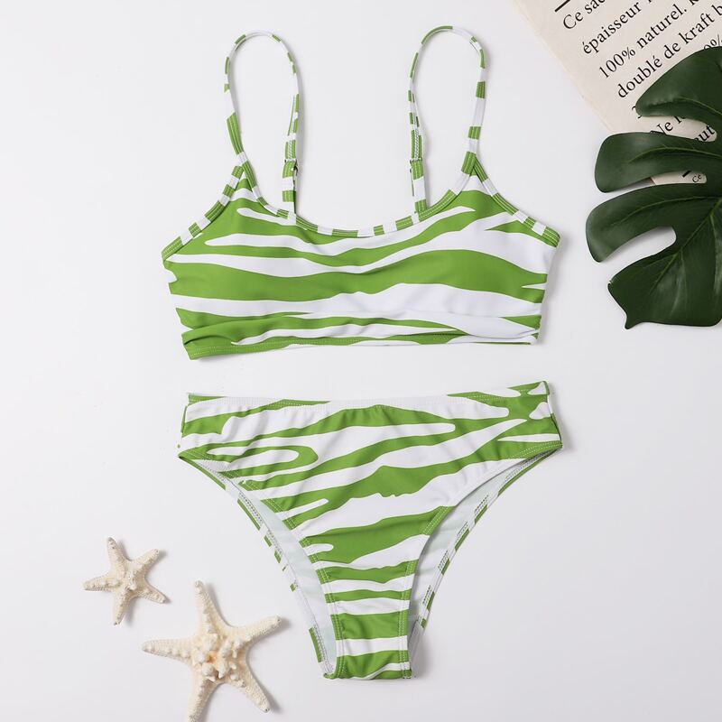 

Zebra Stripe Bikini Swimsuit, Multicolor