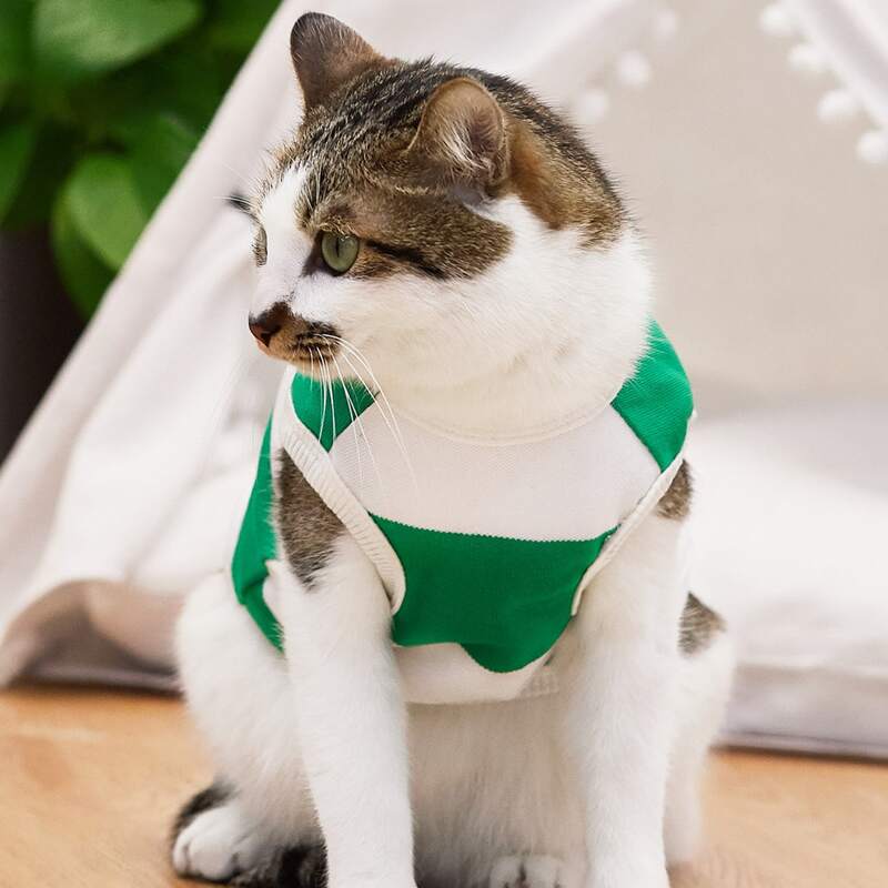 

Striped Pattern Pet Tank, Green