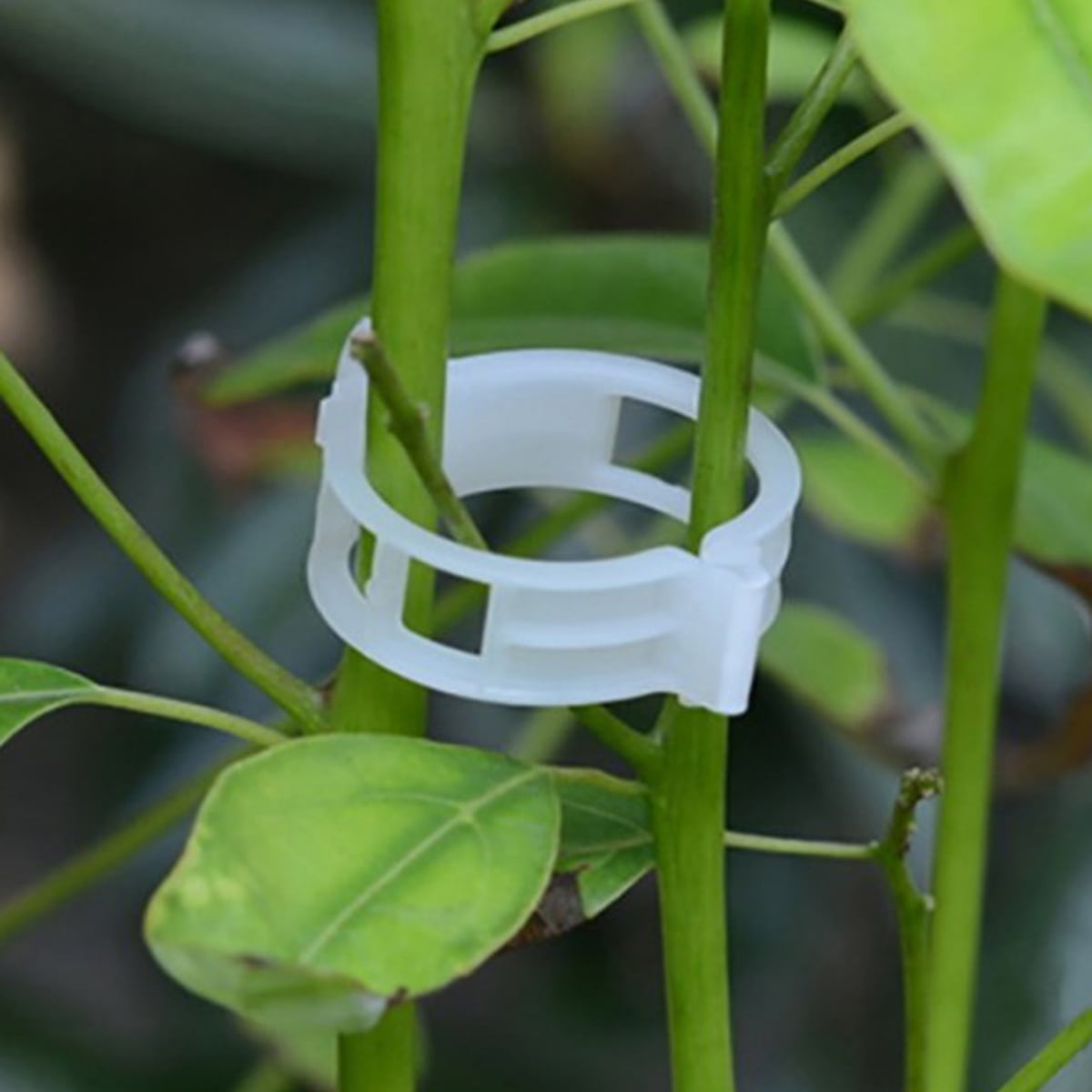 Клипсы для подвязки растений. Подвязка для растений гибкая greenart, 2. Как пользоваться подвязками для растений. Клипсы для подвязки растений. Клипса томатная 23 мм.