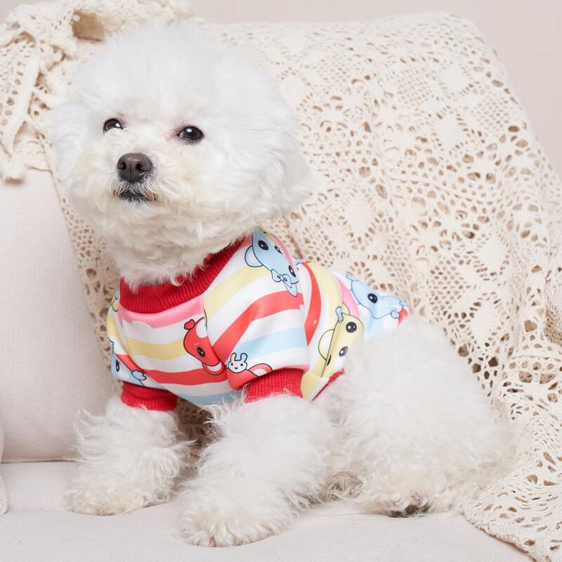 

Cartoon Graphic Pet Sweatshirt, Multicolor