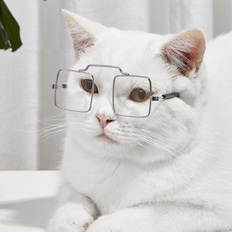 

1pair Square Lens Pet Glasses, Clear