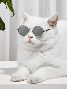 1 cặp ống kính tròn ống kính thú cưng - Xám - Xem 1