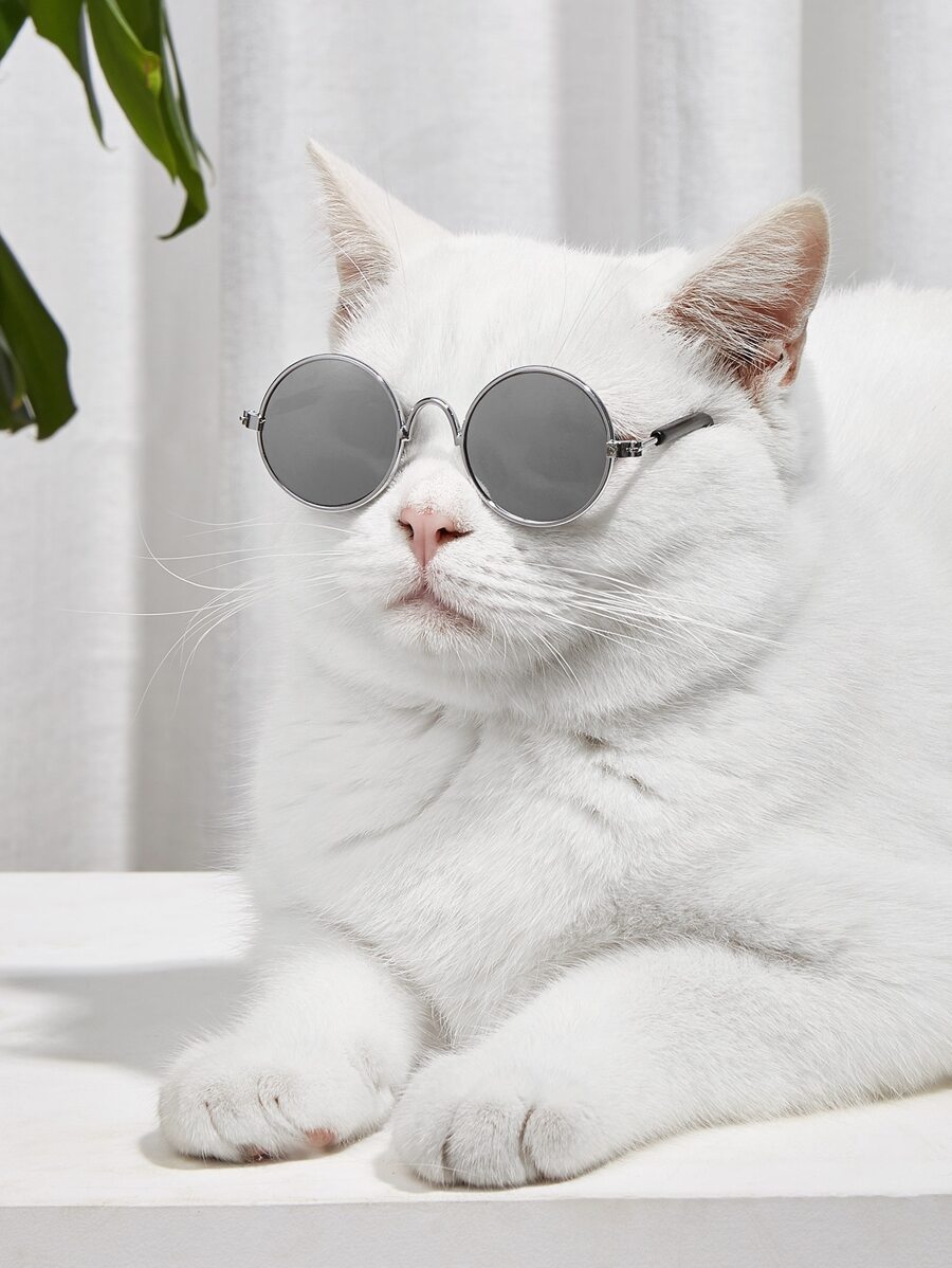 1 cặp ống kính tròn ống kính thú cưng - Xám - Xem 1