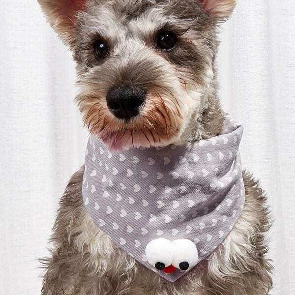 

Eye Detail Pet Bandana, Grey