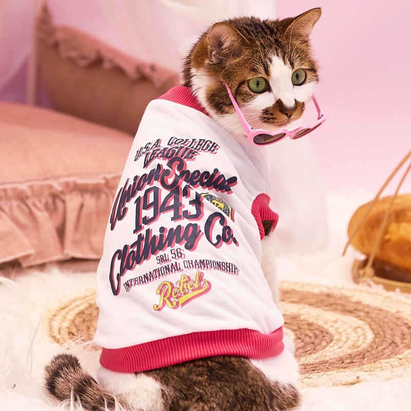 

Slogan Graphic Pet Tank, White