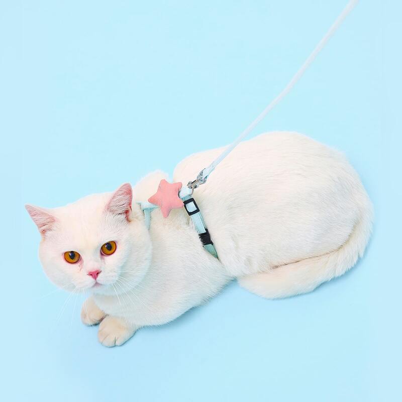 

1pc Star Decor Pet Harness & 1pc Leash, Baby blue