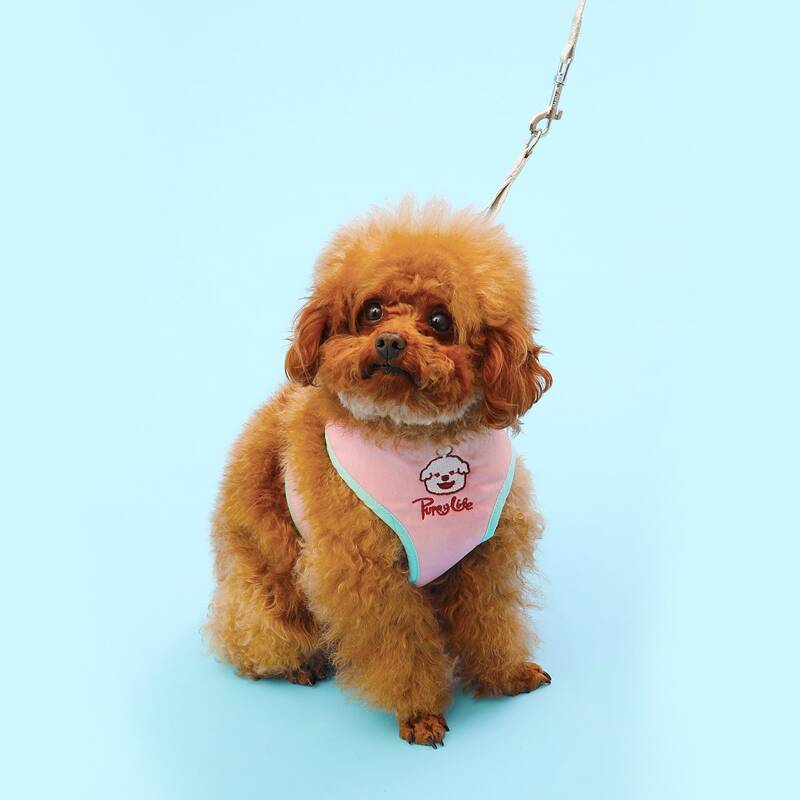 

1pc Cartoon Embroidery Pet Harness & 1pc Leash, Pink