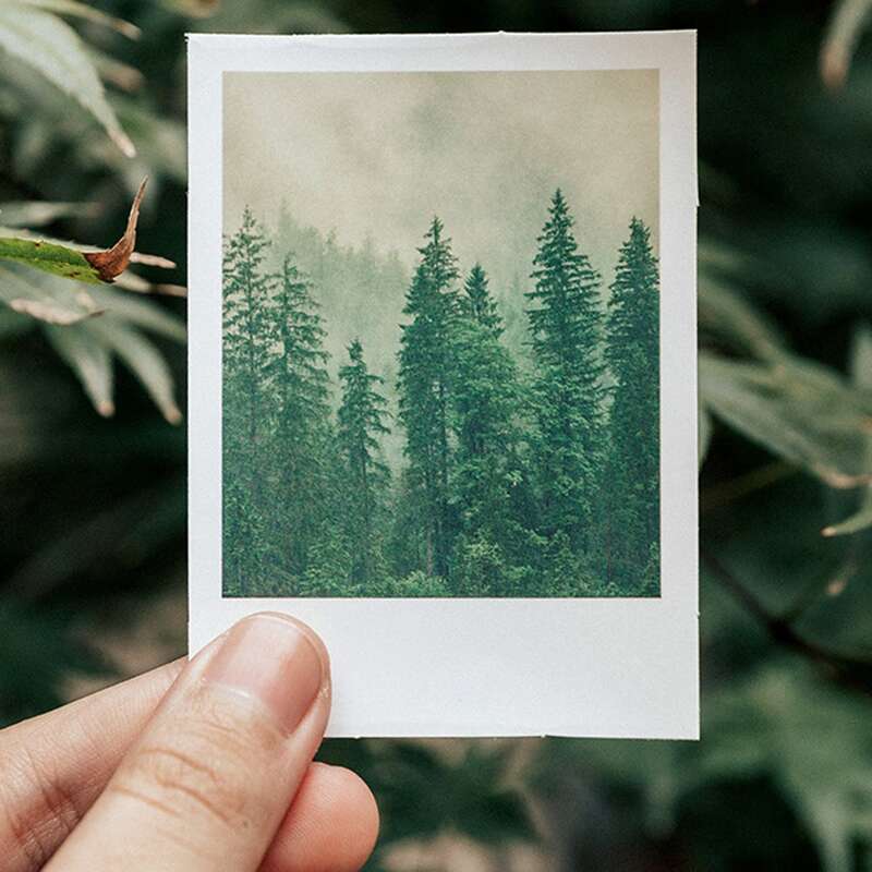 

30pcs Random Scenery Pattern Sticker, Multicolor
