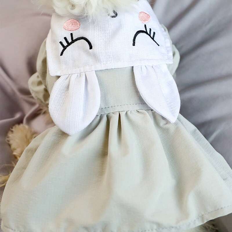 

Cartoon Rabbit Pet Dress, Green