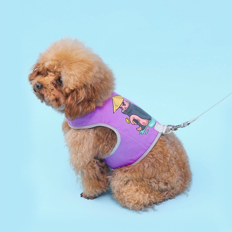 

1pc Cartoon Graphic Pet Leash & 1pc Harness, Purple