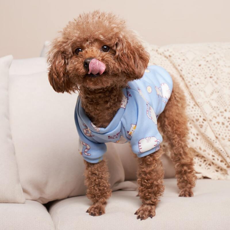 

Cartoon Graphic Pet Sweatshirt, Baby blue
