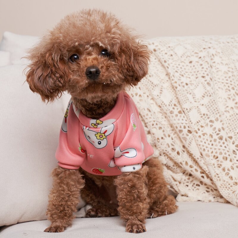 

Cartoon Graphic Pet Sweatshirt, Pink