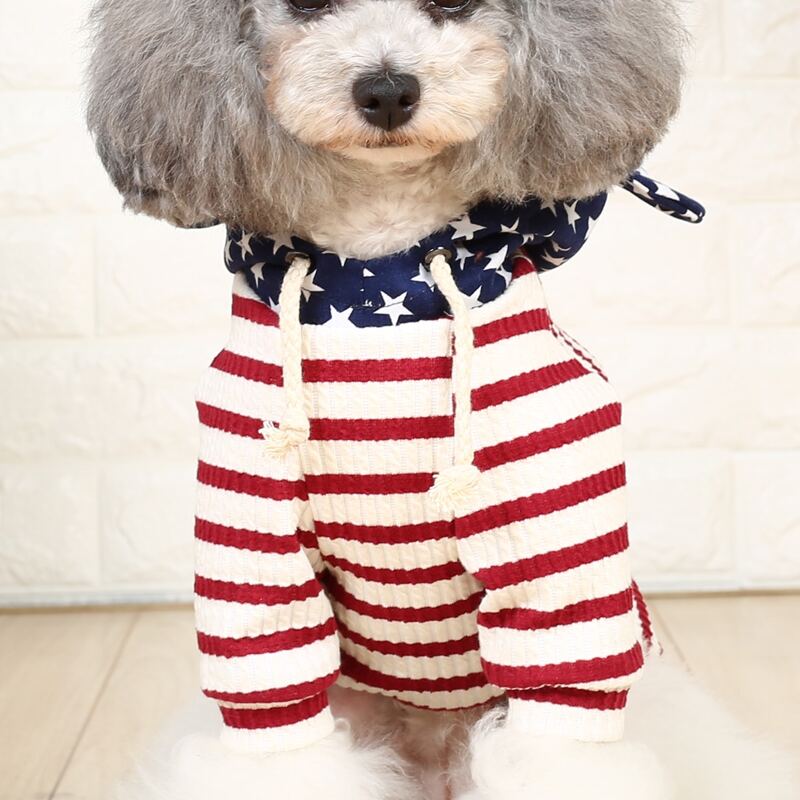 

Striped Pattern Pet Sweater, Multicolor