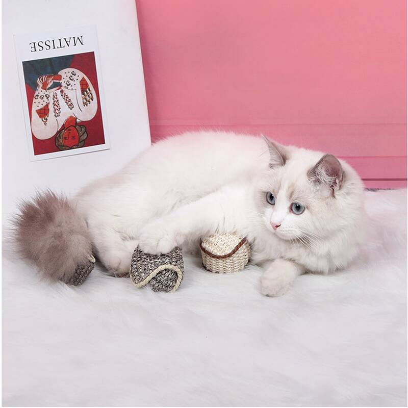 

2pcs Tennis Design Pet Sound Ball, Multicolor