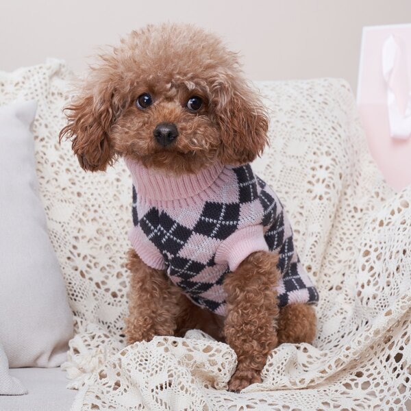 

Lattice Pattern Pet Sweater, Multicolor