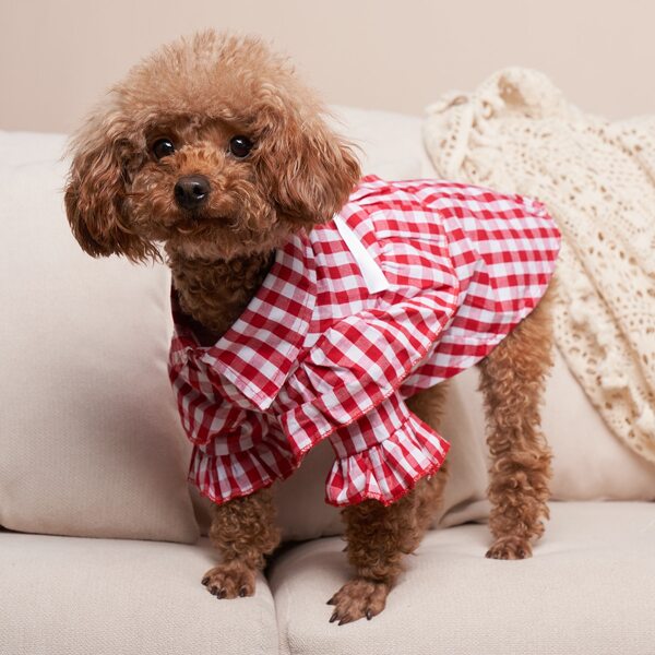 

Plaid Pattern Pet Shirt, Red and white