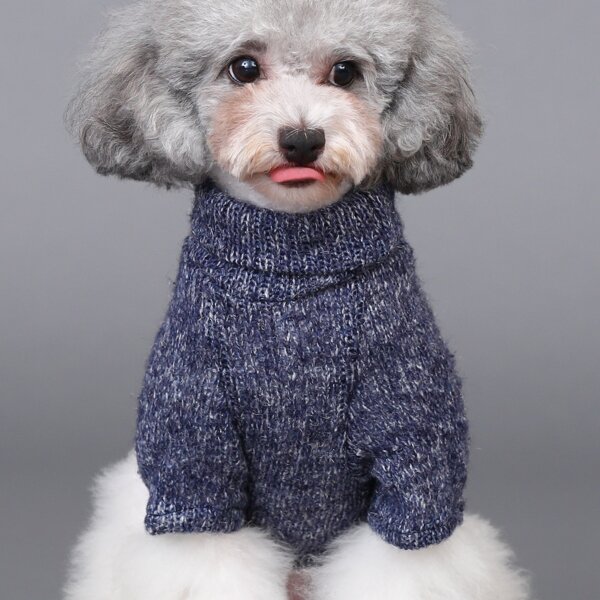 

Button Detail Pocket Pet Sweater, Navy blue
