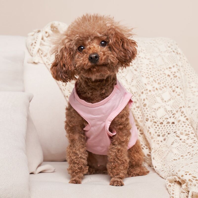 

Watermelon Print Pet Tank Top, Pink