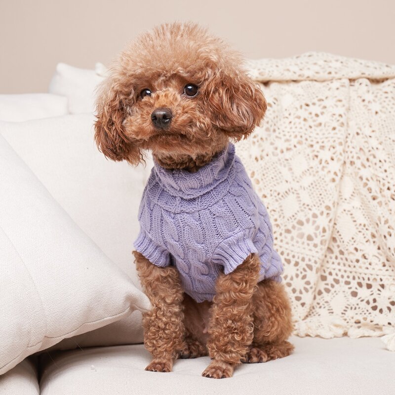 

Solid Color Pet Sweater, Purple